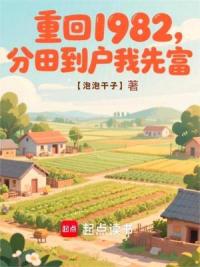 重回1982，分田到户我先富