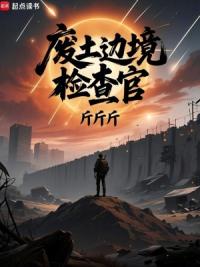 废土边境检查官